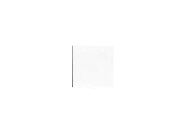 Leviton wall mount plate (blank)