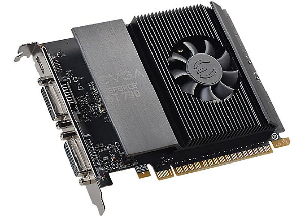 EVGA GeForce GT 730 4GB GDDR5 PCI Express Video Card