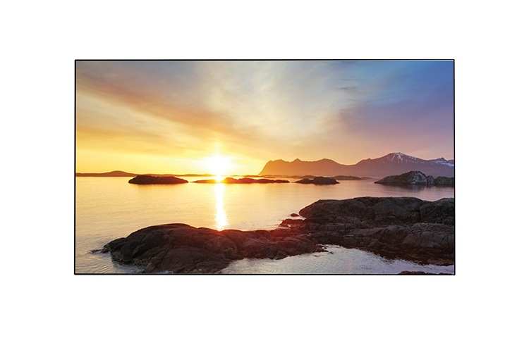 LG SH7DB 55" Class Full HD Commercial IPS LED Display