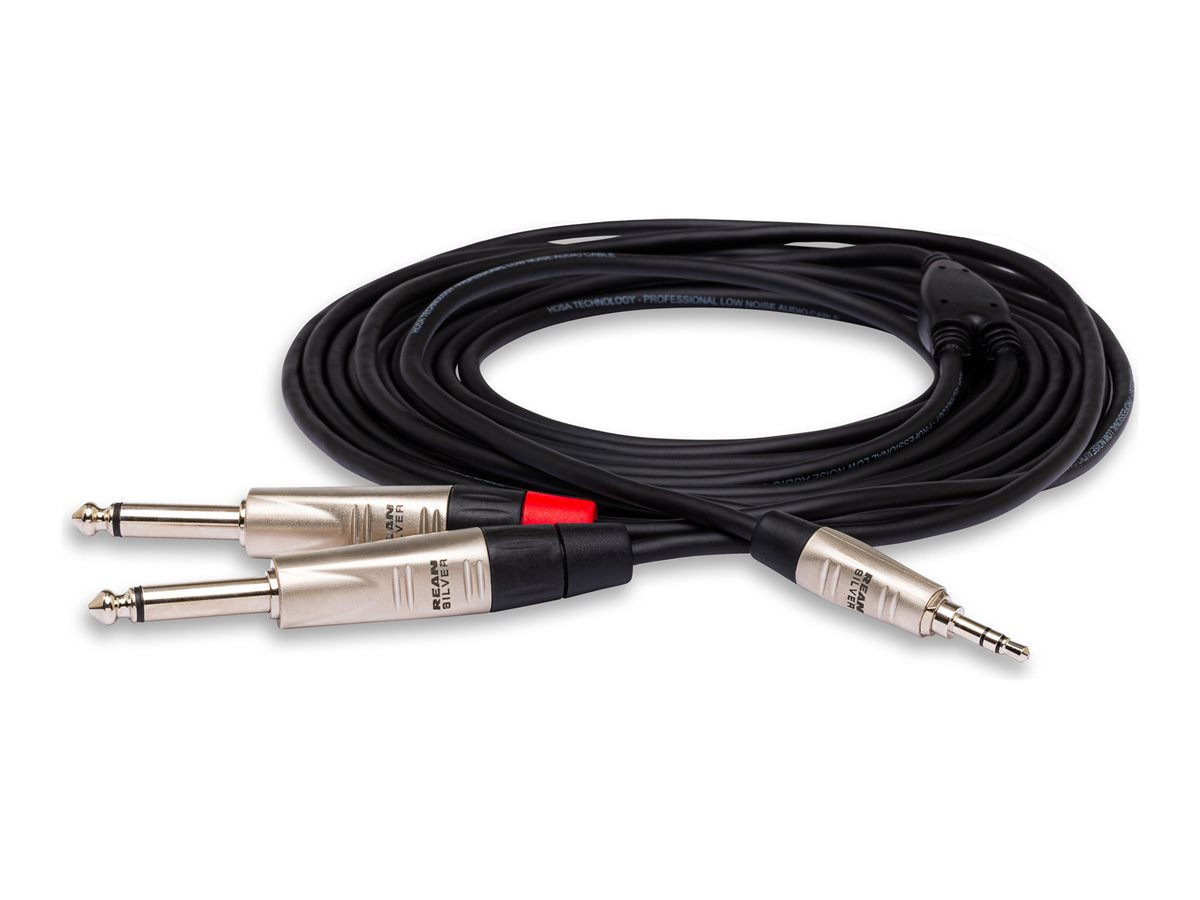 Hosa Pro Stereo Breakout audio cable - 3 ft