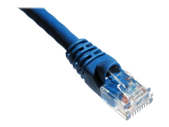 Axiom patch cable - 1.83 m - blue