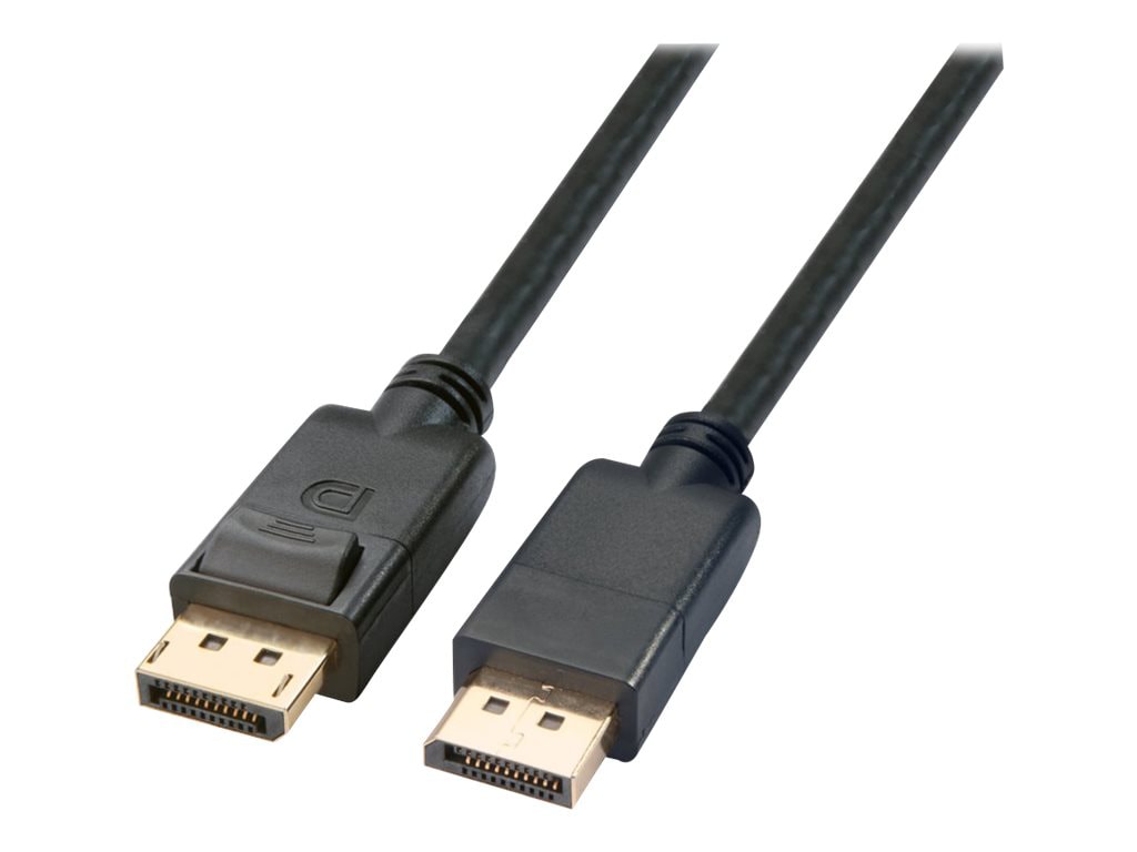 Axiom DisplayPort cable - 6 ft