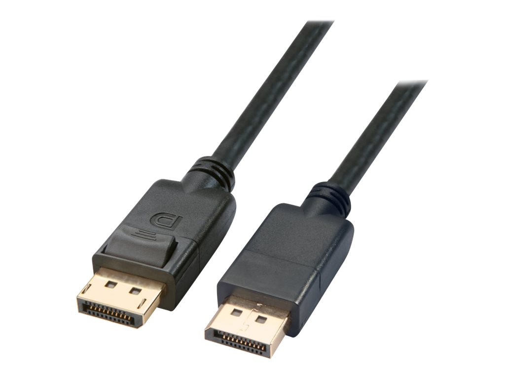 Axiom DisplayPort cable - 10 ft