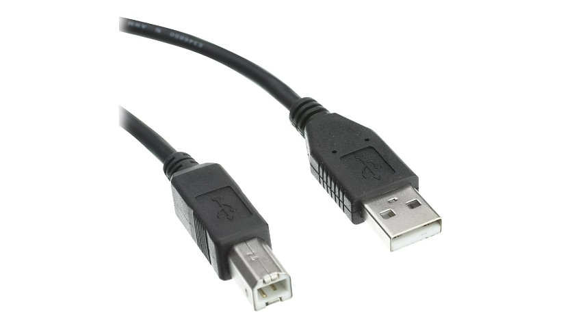 Axiom - USB cable - USB to USB Type B - 15 ft