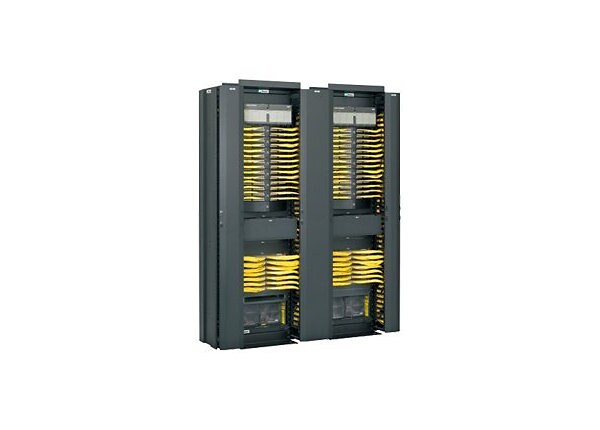 Panduit PatchRunner Vertical Cable Management System rack cable management kit (vertical) - 45U - 19"