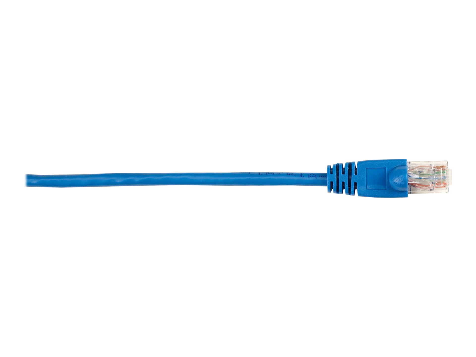 Black Box patch cable - 2 ft - blue