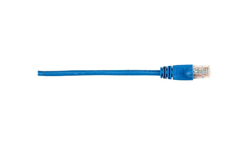 Black Box patch cable - 2 ft - blue