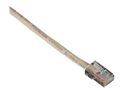 Black Box patch cable - 5 ft - beige