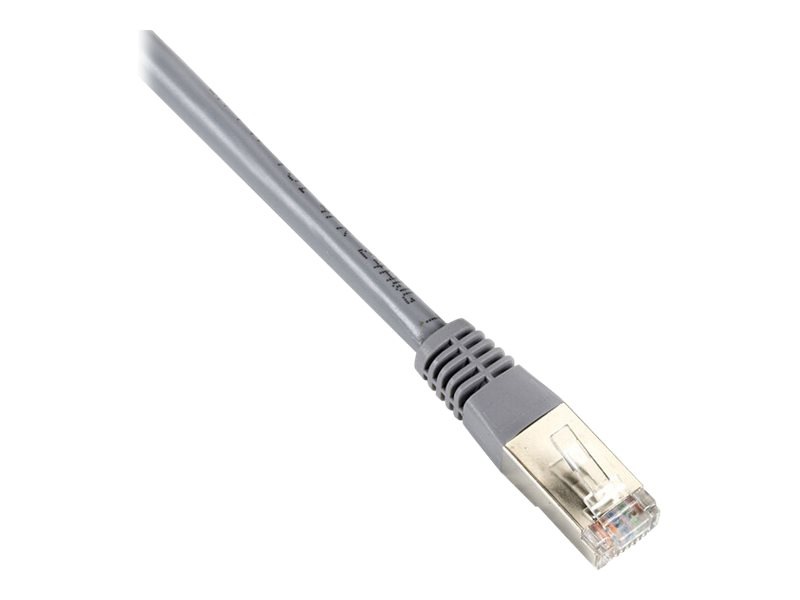 Black Box Backbone Cable patch cable - 2 ft - gray
