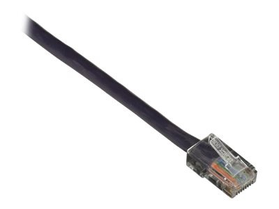 Black Box patch cable - 2 ft - purple