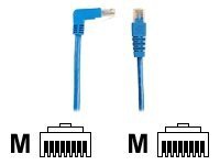 Black Box SpaceGAIN Down to Straight - patch cable - 1 ft - blue