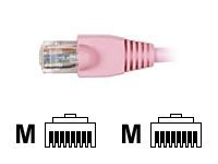Black Box GigaTrue patch cable - 1 ft - pink