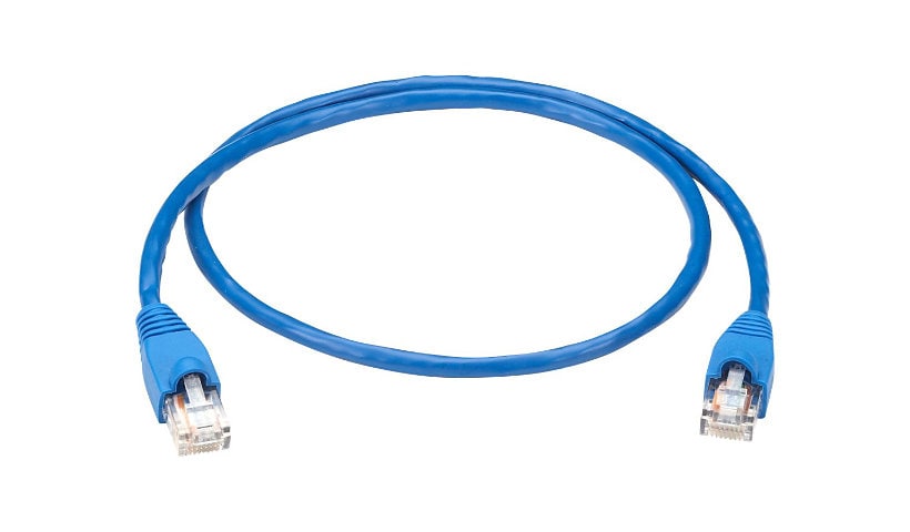 Black Box Backbone Cable network cable - 2 ft - blue