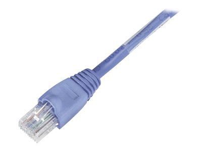 Black Box Backbone Cable network cable - 30 ft - blue