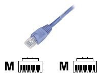 Black Box Backbone Cable network cable - 100 ft - yellow