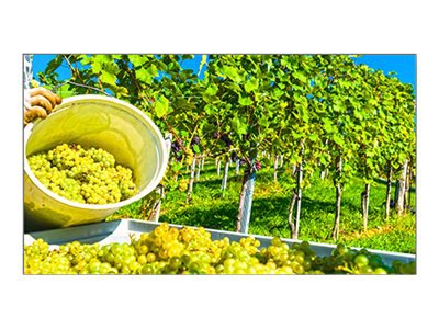 NEC MultiSync X464UNV-3 XUN Series - 46" LED display