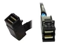 Intel SAS internal cable kit