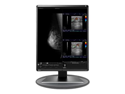 EIZO RadiForce RX560-BK - LED monitor - 5MP - color - 21.3"