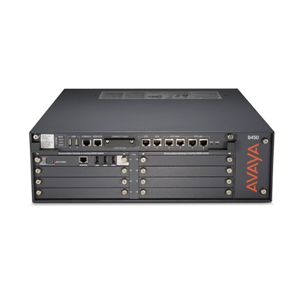 Avaya S8300E - voice/video/data server