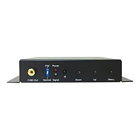 Black Box VGA to component / composite video converter / scaler