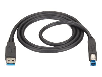 Black Box - USB cable - USB Type A to USB Type B - 10 ft