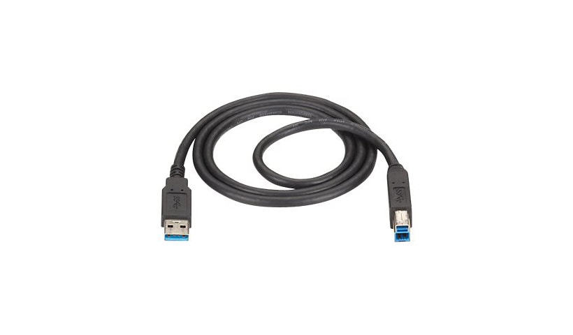 Black Box - USB cable - USB Type A to USB Type B - 10 ft