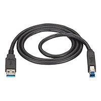 Black Box - USB cable - USB Type A to USB Type B - 10 ft