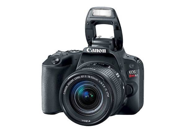 Canon EOS Rebel SL2 - digital camera EF-S 18-55mm IS STM lens