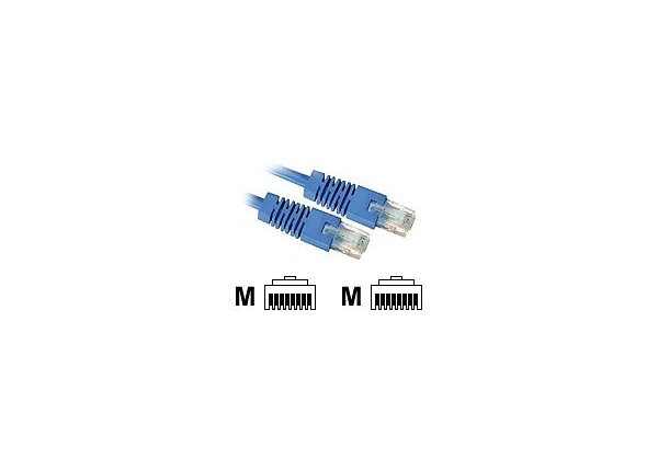 Black Box 1' CAT5e 100-MHz Patch Cables with Molded Hoods, Blue