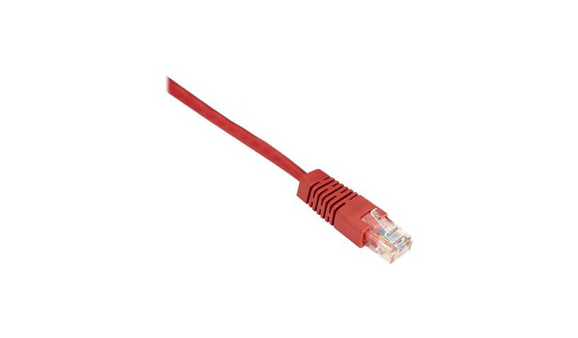 Black Box patch cable - 19.7 ft - red