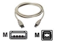 TechCraft - USB cable - USB to USB Type B - 15 ft