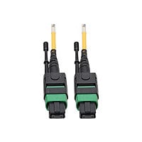 Eaton Tripp Lite Series MTP/MPO (APC) Singlemode Patch Cable (F/F), 12 Fiber, 40/100 GbE, QSFP+ 40GBASE-PLR4, Plenum,
