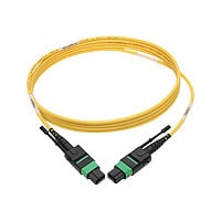 Eaton Tripp Lite Series MTP/MPO (APC) Singlemode Patch Cable (F/F), 12 Fibe