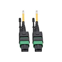 Eaton Tripp Lite Series MTP/MPO (APC) Singlemode Patch Cable (F/F), 12 Fibe