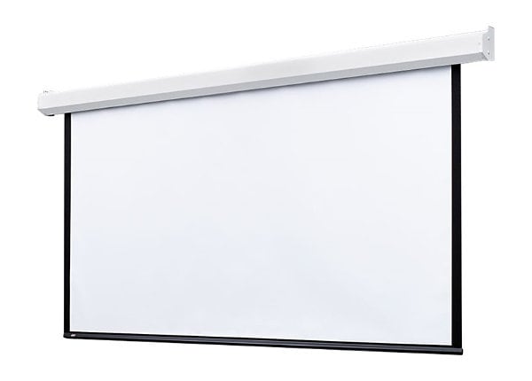 Draper Targa 16:10 Format - projection screen - 198 in (198 in)