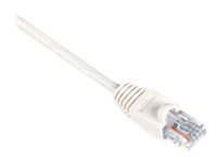 Black Box CAT5e Solid-Conductor Backbone Cable patch cable - 25 ft - white