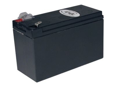 Tripp Lite Replacement Battery Cartridge for select APC UPS Systems 5.5lbs - UPS battery - lead acid