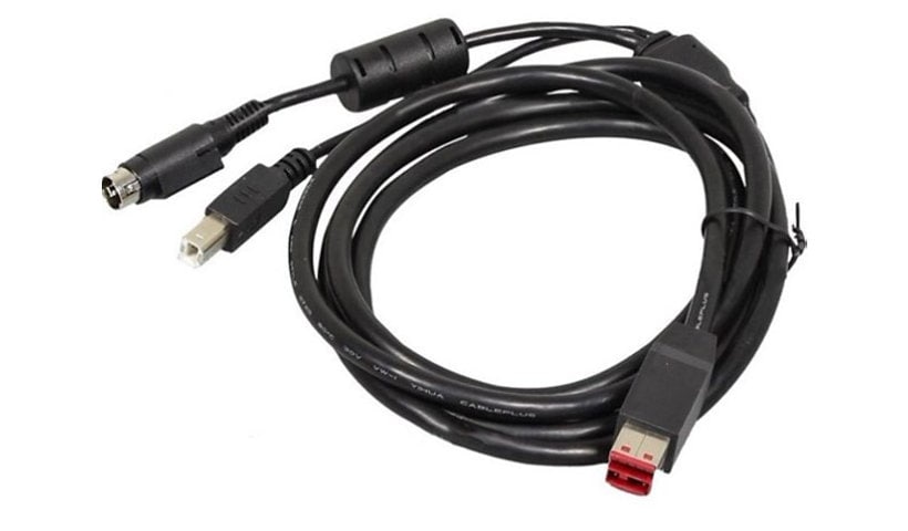 Epson 10' Powered USB Y Cable