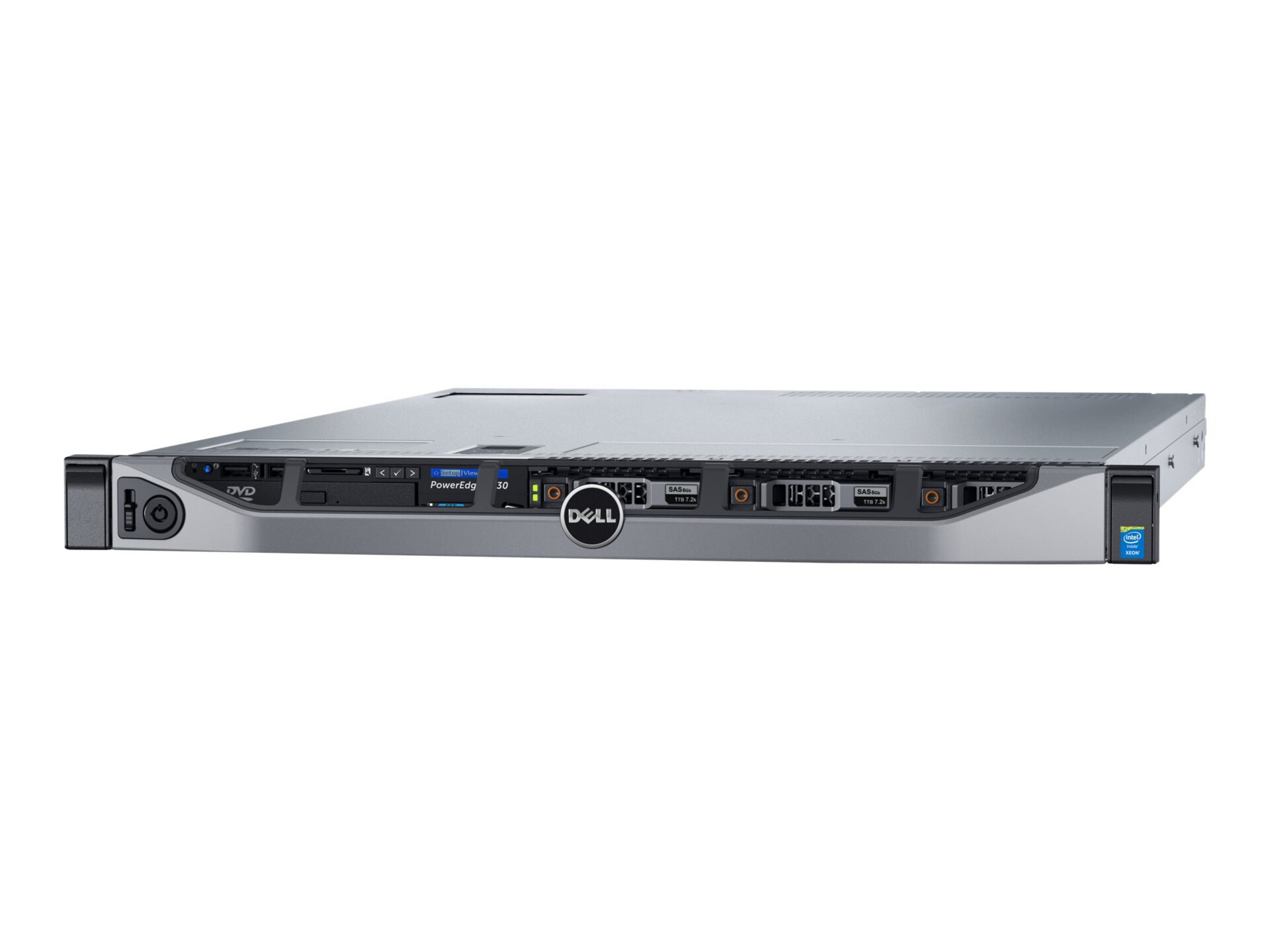 Dell PowerEdge R630 - rack-mountable - Xeon E5-2620V4 2.1 GHz - 8 GB - 300 GB