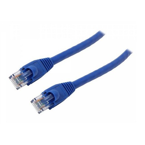 IBM network cable - 33 ft - blue