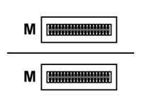 EXTREME 1M QSFP28/QSFP28 DAC