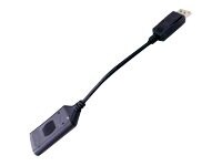 DT Research video adapter - DisplayPort / HDMI - 7.9 in