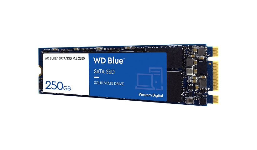 WD Blue 3D NAND SATA SSD WDS250G2B0B - SSD - 250 GB - SATA 6Gb/s