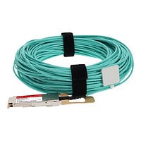 Proline 100GBase-AOC direct attach cable - TAA Compliant - 25 m