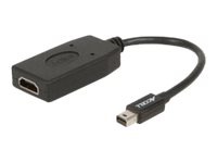 Accell UltraAV - video converter - black