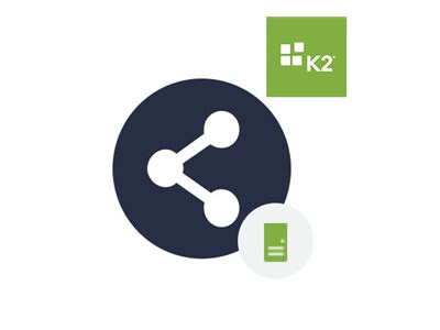 K2 Five Connect Server Add-On - license - 1 server