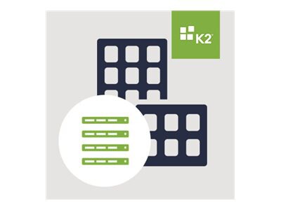 K2 Five Enterprise - subscription license (1 month) - 1 user