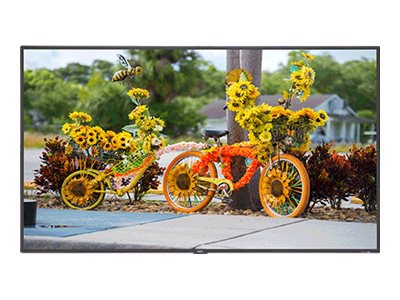 NEC MultiSync C551 C Series - 55" LED display - Full HD