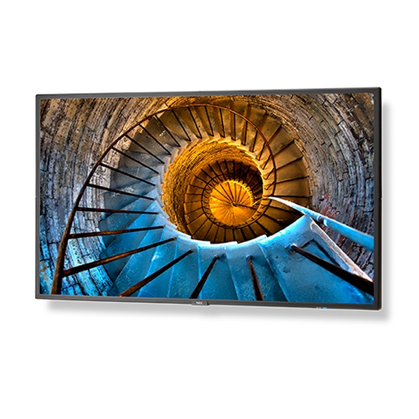 NEC 48IN 4G P SERIES W/RASPBERRY PI