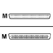 Quantum SCSI external cable - 6 ft
